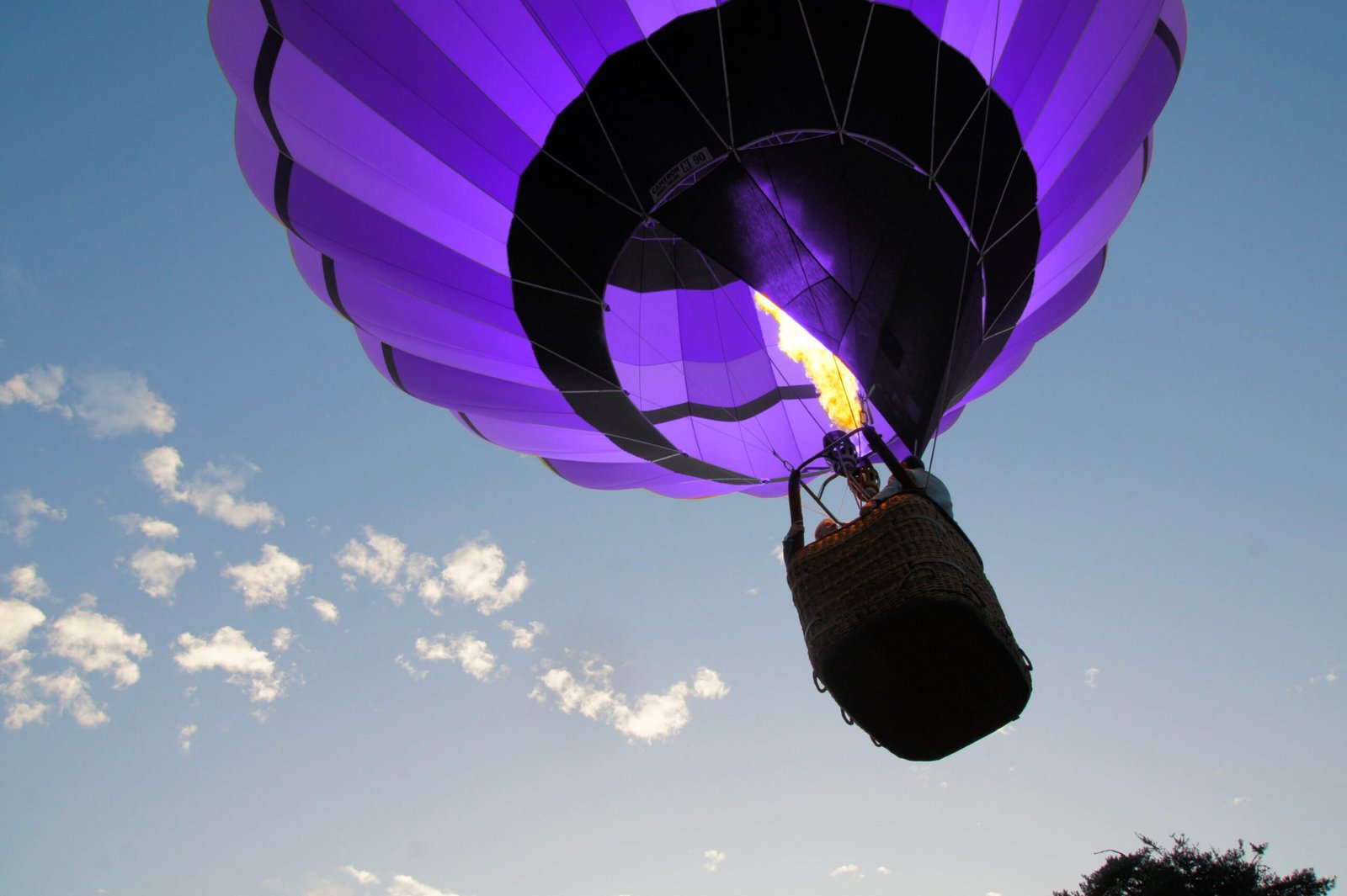 Préparation d’une montgolfière violette avant le vol